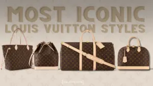 louis vuitton purse